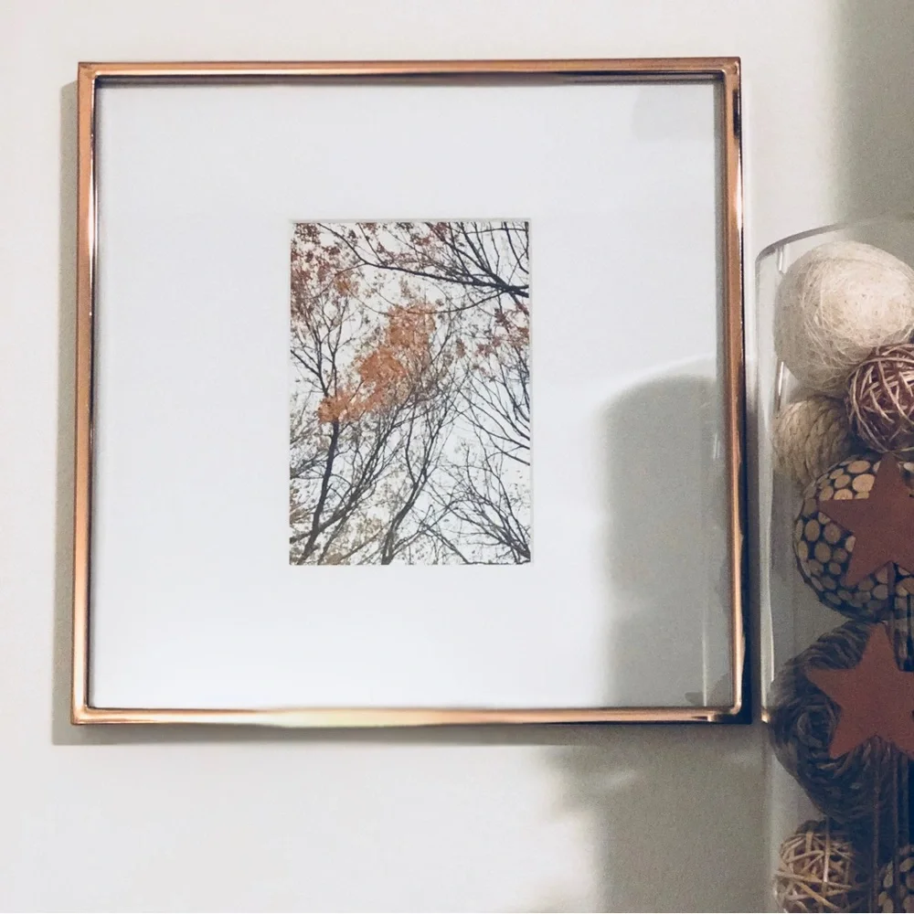 🧡🍂 12x12 Rose Gold Frame with Nature Print